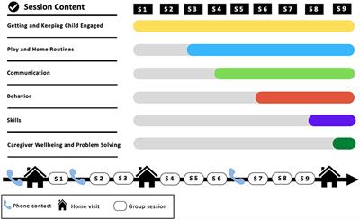 Implementing the WHO caregivers skills training program with caregivers of autistic children via telehealth in rural communities